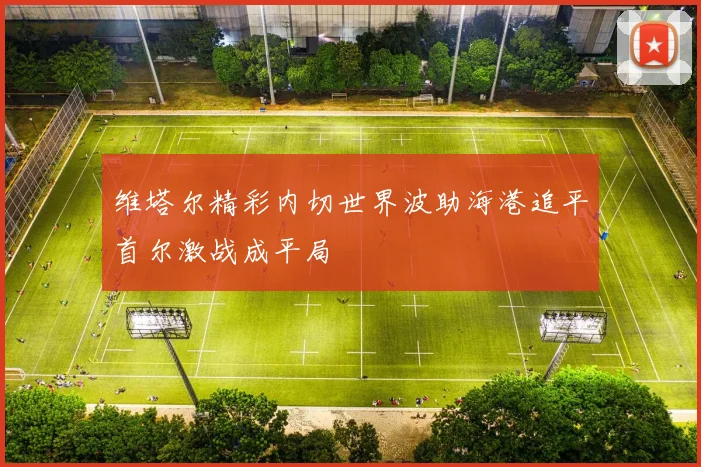维塔尔精彩内切世界波助海港追平首尔激战成平局