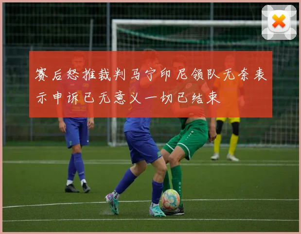 赛后怒推裁判马宁印尼领队无奈表示申诉已无意义一切已结束