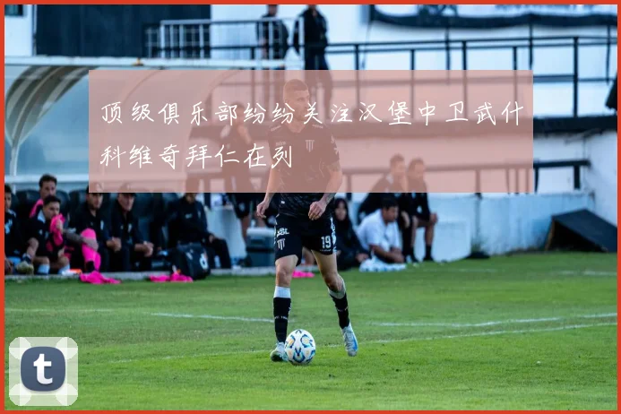 顶级俱乐部纷纷关注汉堡中卫武什科维奇拜仁在列